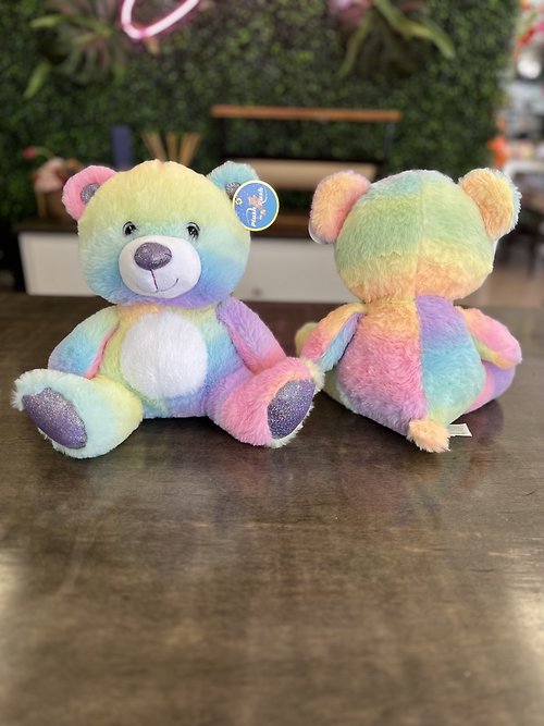 11\" Rainbow Sherbet Bear