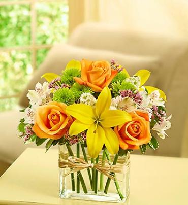 Fields of Europe™ in Rectangle Vase