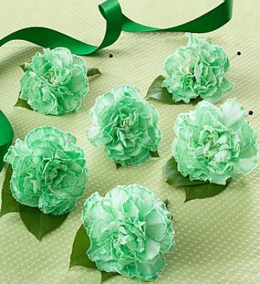 St. Patrick's Day Boutonniere Package