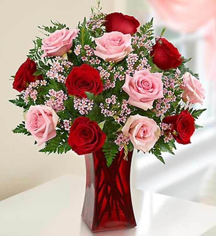 Shades of Pink and Red??&#162; Premium Long Stem Roses