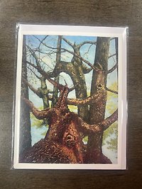 19.5\" Large Brown Bear