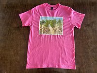 19.5\" Large Brown Bear