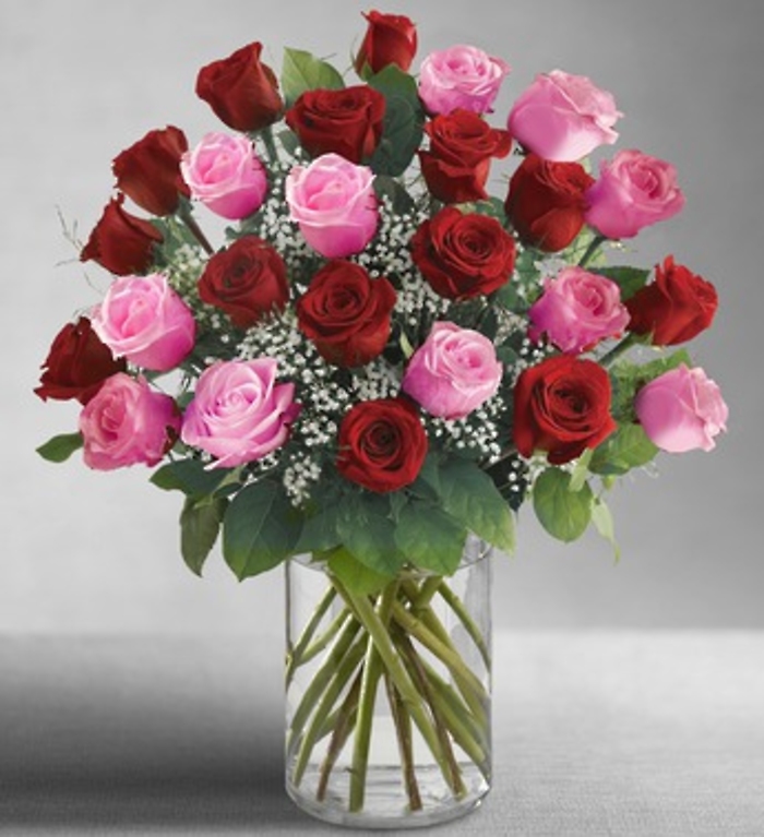 Two Dozen Long Stem Pink & Red Roses