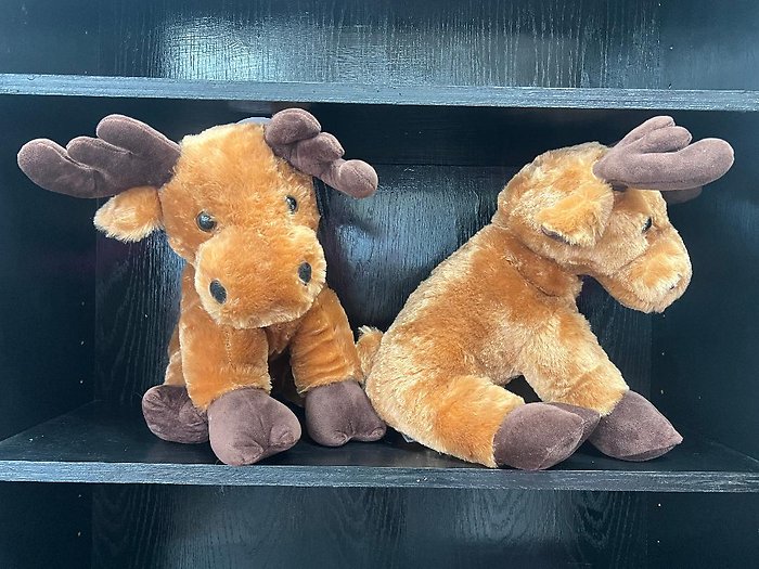 15\" Medium Brown Moose