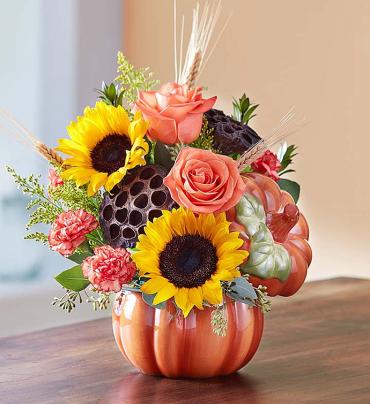 Pumpkin\'s and Posies