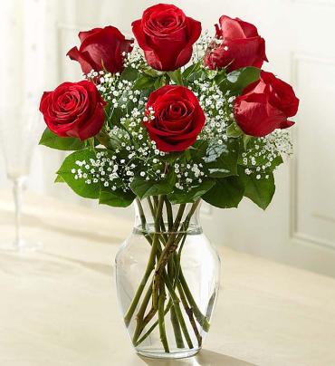 Love\'s Embrace⢠Roses - Red