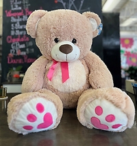 15\" My First Bear - Pink