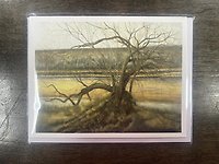 19.5\" Large Brown Bear