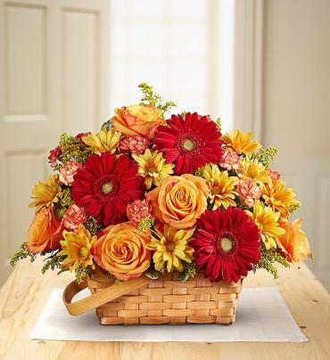 Warm Welcome Basket