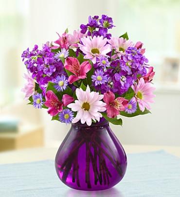 Lavender Dreams™