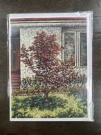 19.5\" Large Brown Bear