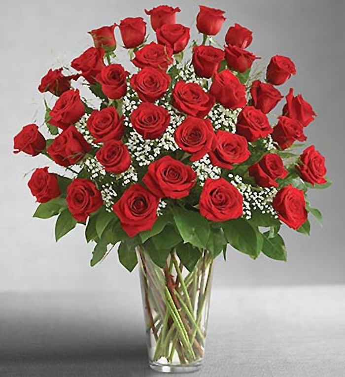 3 Dozen Premium Long Stem Red Roses