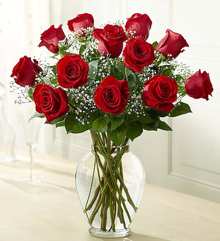 Premium Long Stem Red Roses
