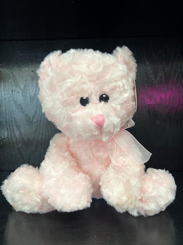 14\" Chenille Bear - Pink