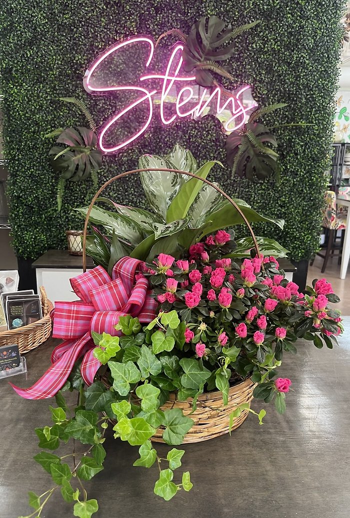 Blooming Basket Dish Garden
