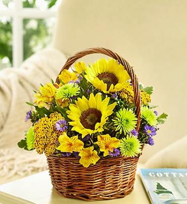 Fields of Europe™ for Summer Basket