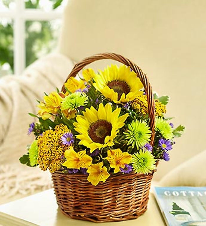 Fields of Europe&trade; for Summer Basket