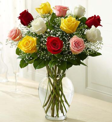 Rose Elegance? Premium Long Stem Assorted Roses