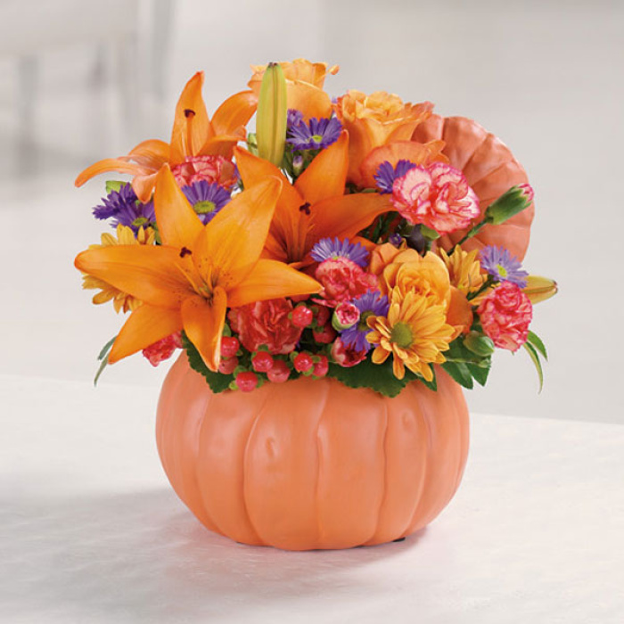Pretty Pumpkin  Petals