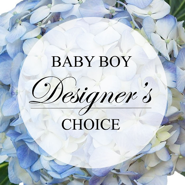 Baby Boy Designers Choice